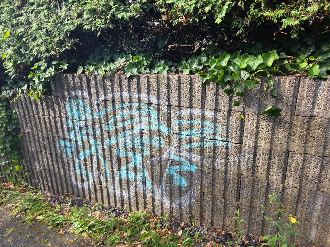 Graffiti auf einer Betonsteinwand vor der professionellen Entfernung durch AhrBlitzGlanz